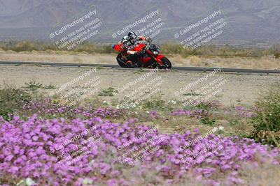 media/Feb-04-2023-SoCal Trackdays (Sat) [[8a776bf2c3]]/Turn 15 Inside Blooming (1050am)/